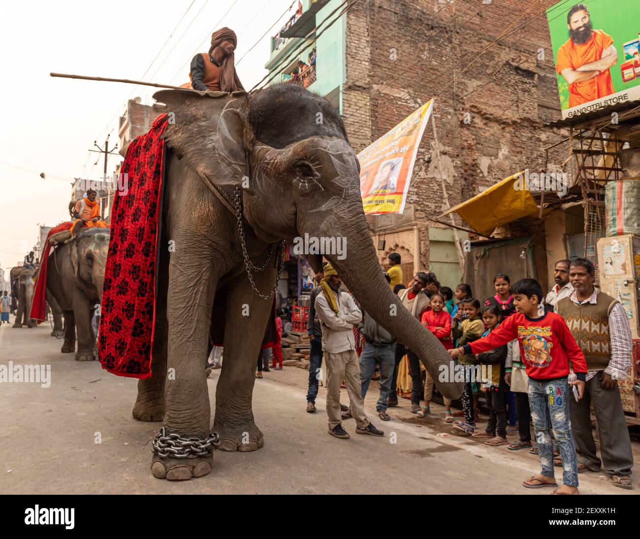 le prêtre indien s'assoit sur l'éléphant et se balade pendant la mela kumbh dans hidawar.kumbh est la plus grande congrégation sur la terre. Banque D'Images