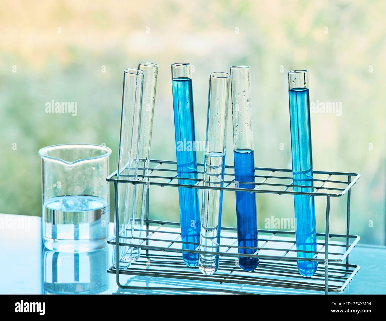 Flacon en verre et tubes à essai avec liquides dans un laboratoire scientifique. Pays basque, Espagne,. Europe. Banque D'Images