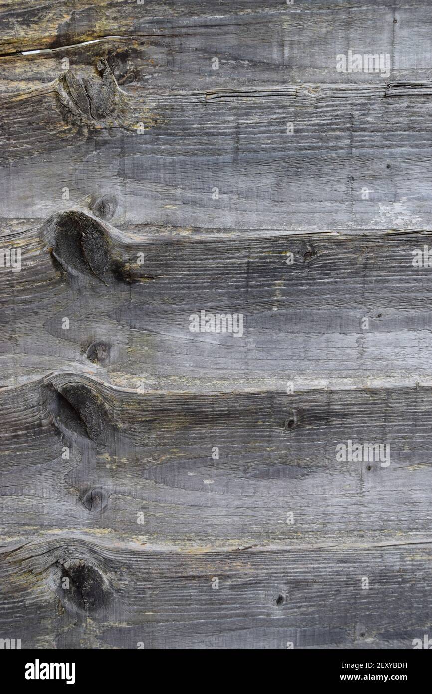 Panneaux de clôture noués Banque D'Images