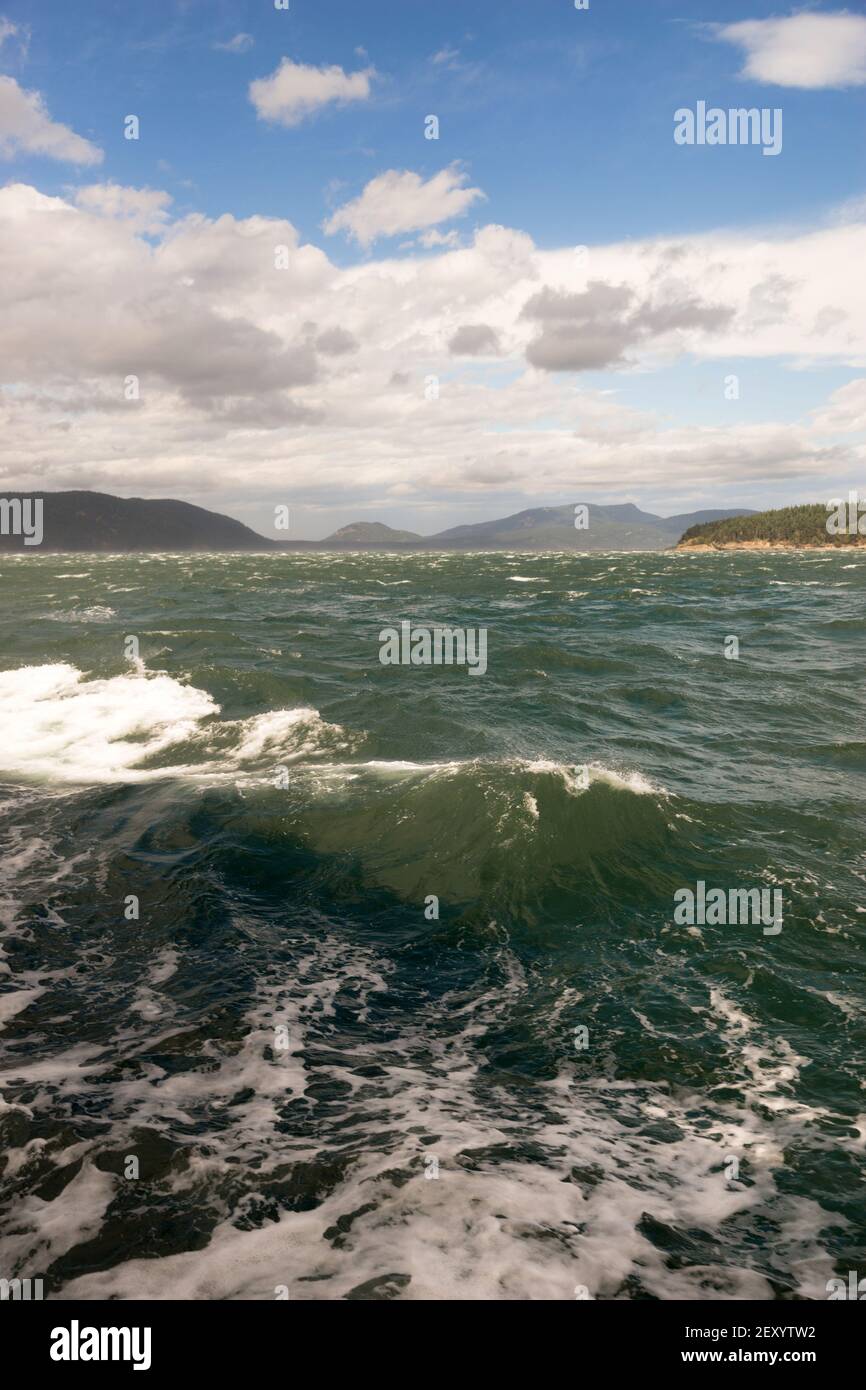 Les grandes vagues de la mer émeraude gonfle Puget Sound Banque D'Images