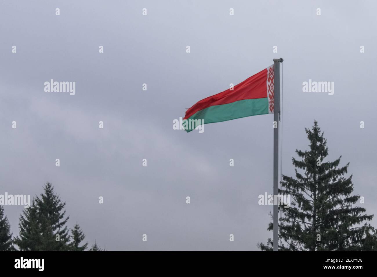 Le drapeau bélarussien vole sur fond de ciel gris et de sapins. Espace pour le texte Banque D'Images