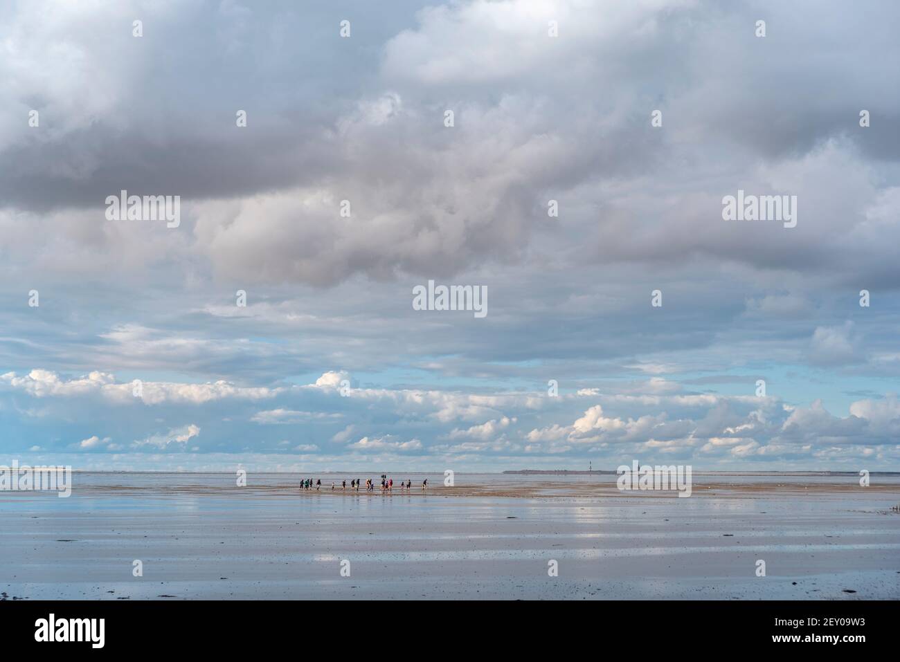 Paysage dans le parc national de la mer des Wadden, Harlesiel, Basse-Saxe, Allemagne, Europe Banque D'Images