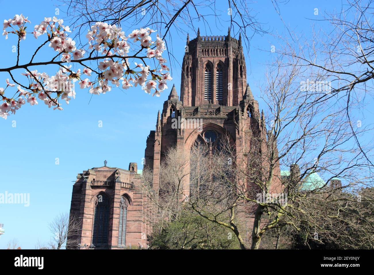 Liverpool - city dans le comté de Merseyside de North West England (UK). La Cathédrale de Liverpool. Banque D'Images