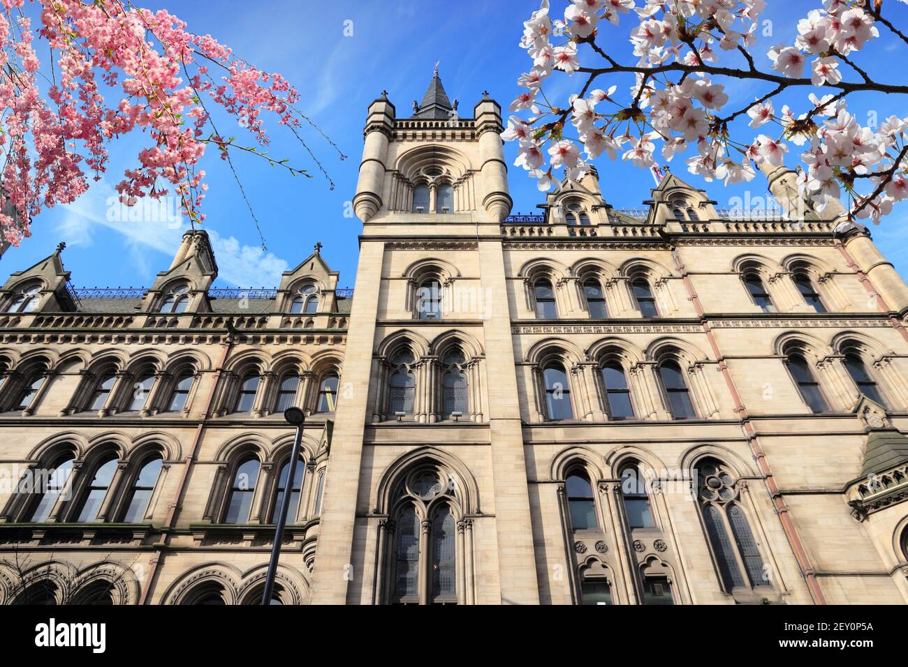 Manchester en Angleterre (Royaume-Uni). Hôtel de ville. Banque D'Images