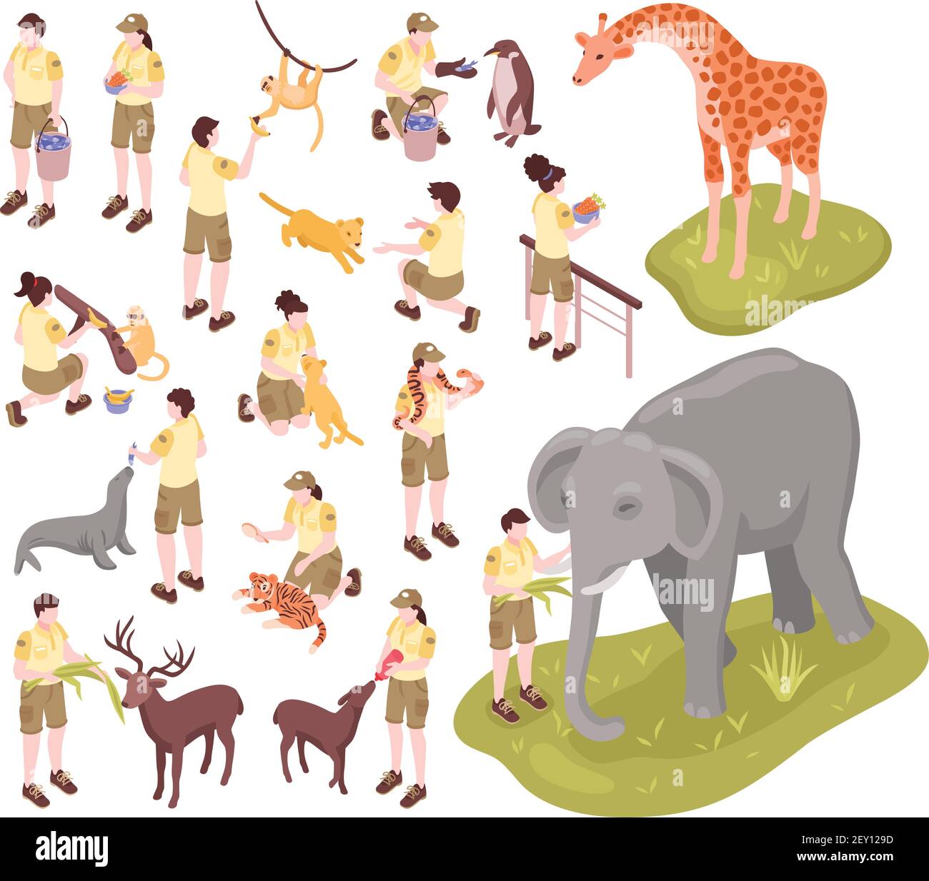 Ensemble de travailleurs de zoo isométrique de personnages humains isolés de zoo les gardiens et les animaux sur une illustration vectorielle d'arrière-plan vierge Illustration de Vecteur