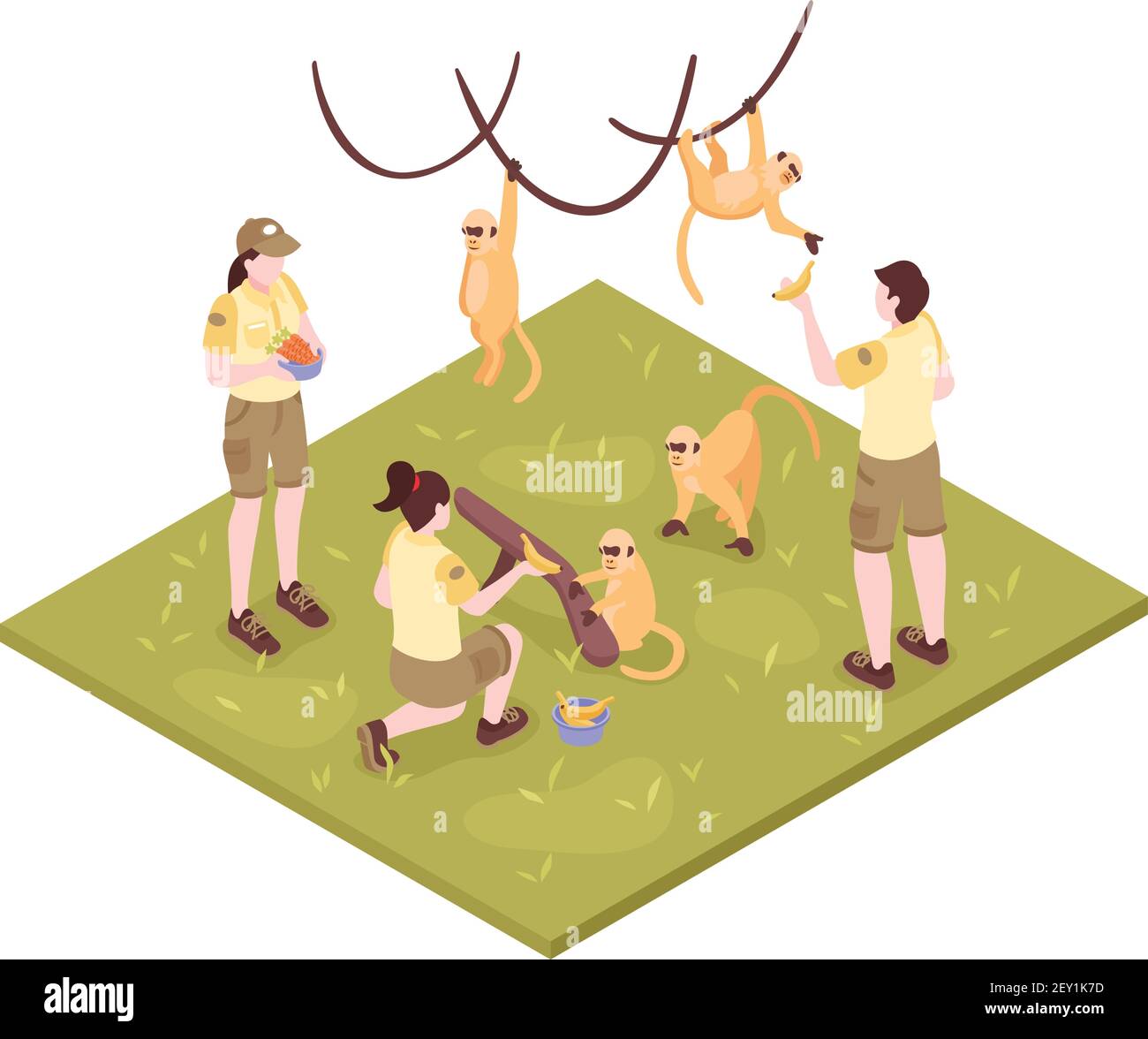 Composition des ouvriers du zoo isométrique sur fond blanc avec singes tropicaux illustration vectorielle et groupe de personnages de gardien de zoo Illustration de Vecteur