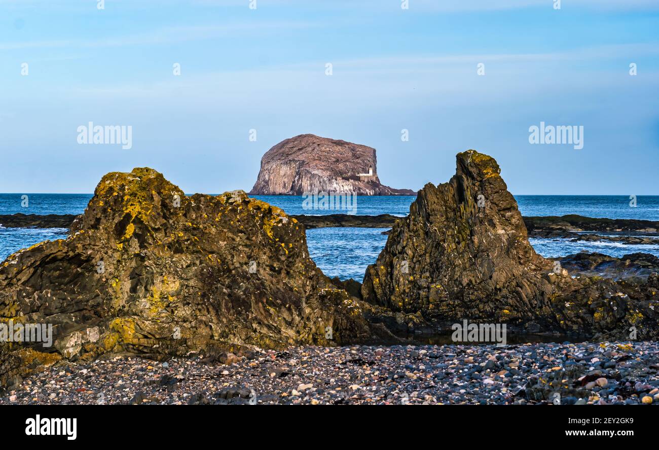 Bass Rock île volcanique avec phare encadré par des rochers de rivage sur une plage, Firth of Forth, Écosse, Royaume-Uni Banque D'Images