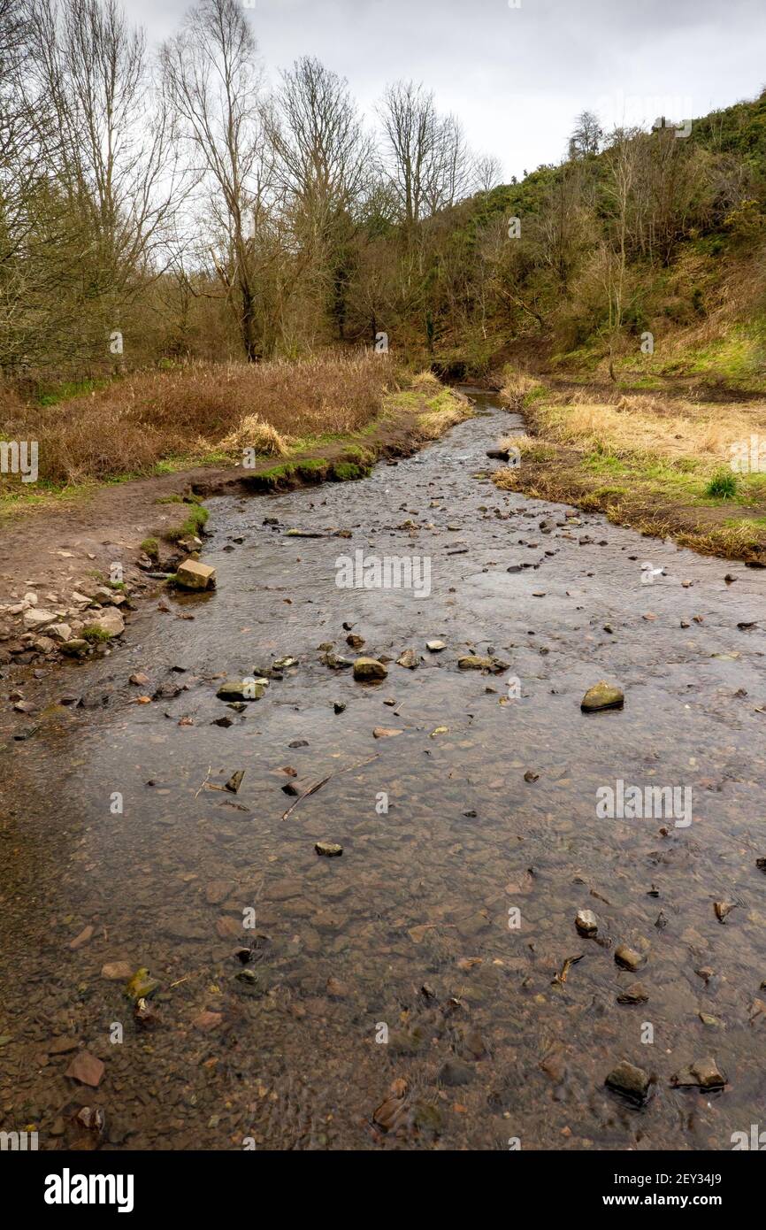 Ruisseau à l'Hermitage de Braid près de Blackford Hill à Édimbourg, Écosse, Royaume-Uni Banque D'Images