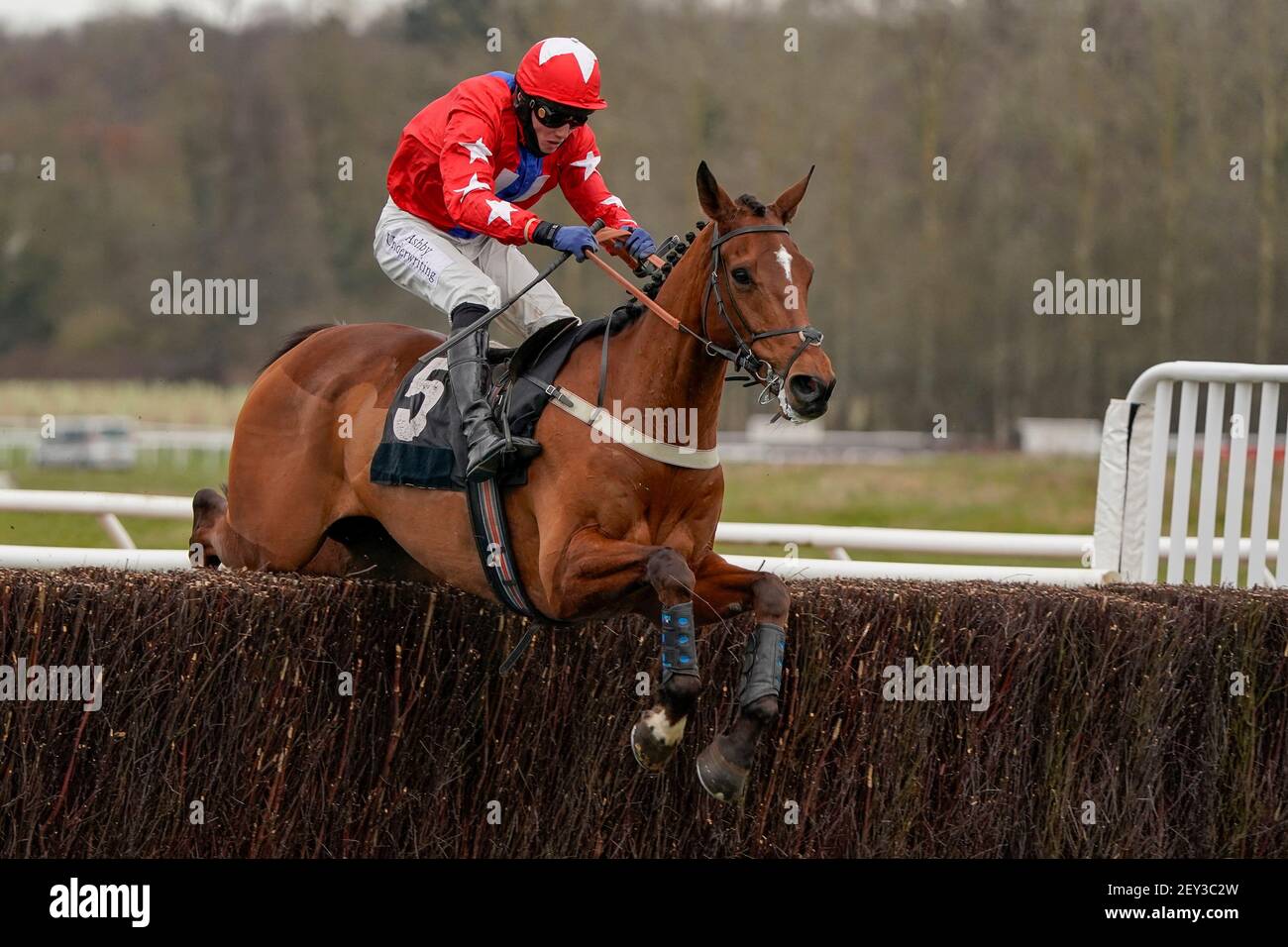 Editeur du Gite, monté par Joshua Moore, a remporté le dernier prix de l'Irish Thoroughbred Marketing Handicap Chase au Newbury Racecourse. Date de la photo : vendredi 5 mars 2021. Banque D'Images