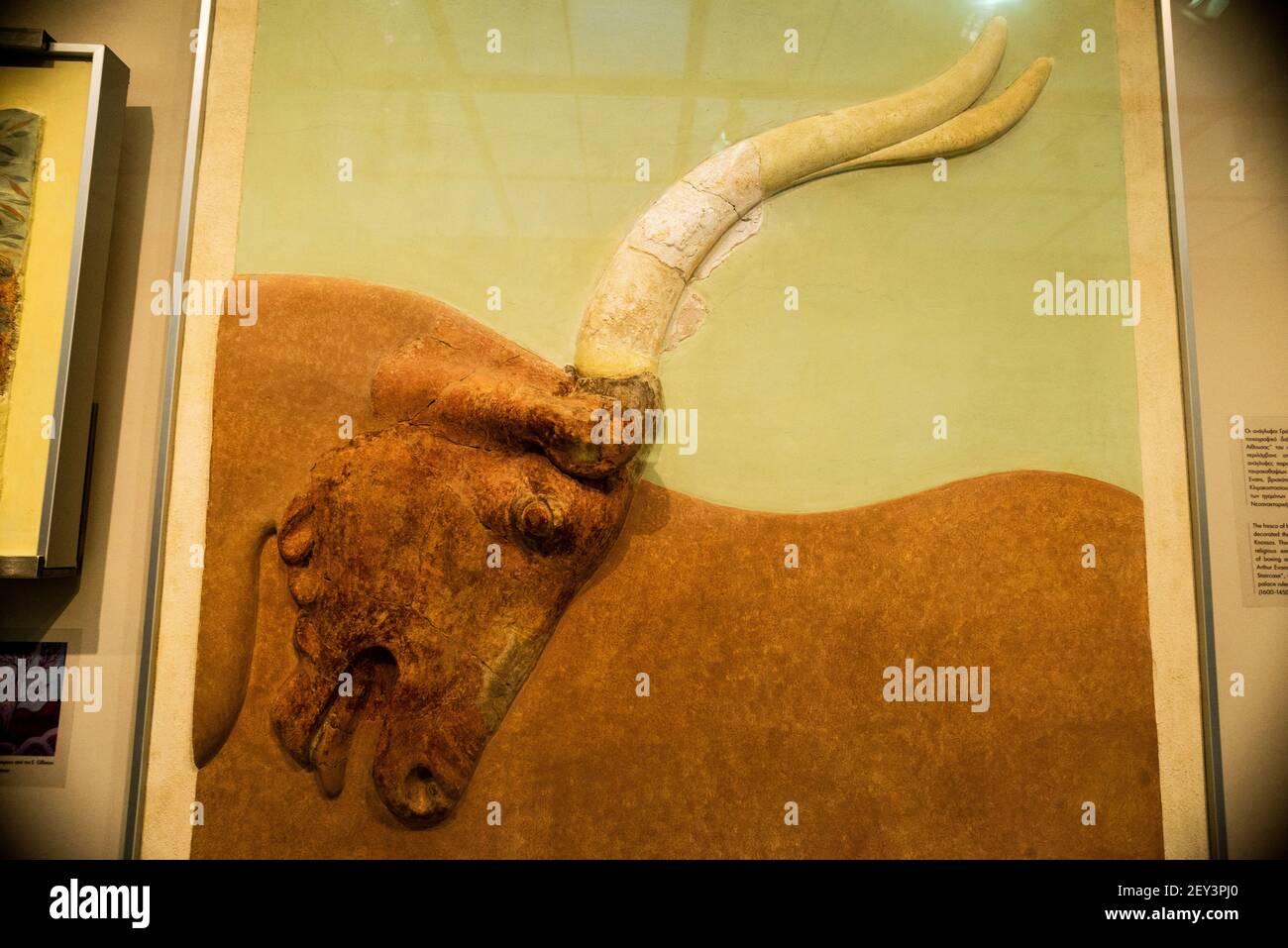 Taureau de chargement au Musée archéologique d'Héraklion, Crète, Grèce. Banque D'Images