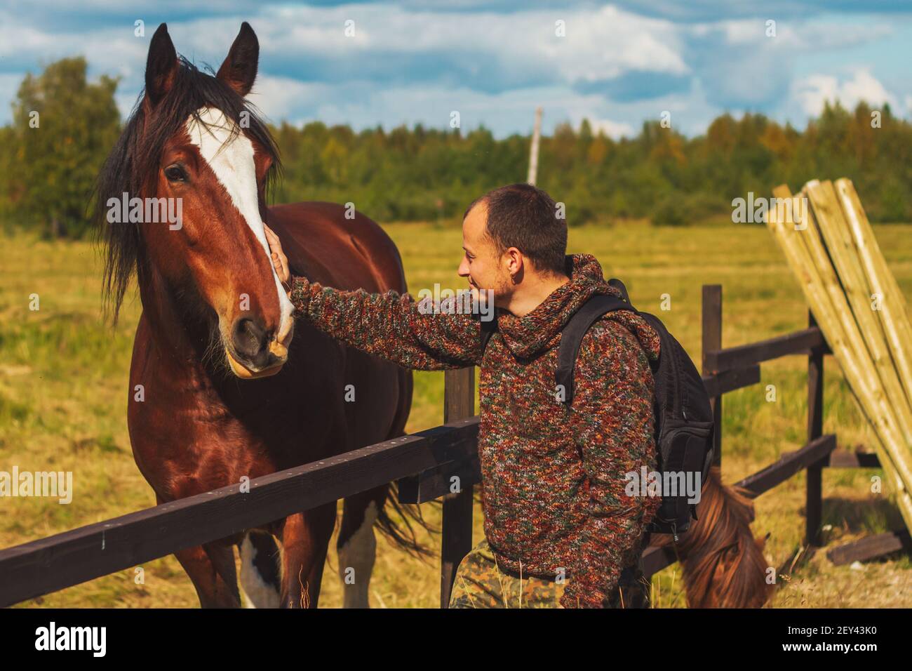 l'homme et le cheval amitié entre l'homme et l'animal Banque D'Images