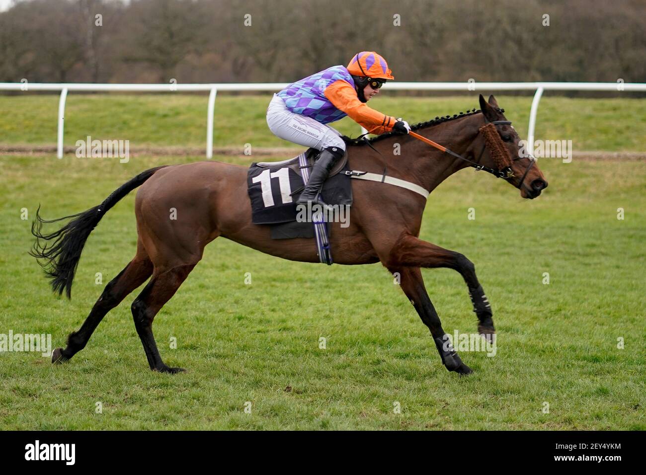 Notre bébé de Dot est criblé par page Fuller clear le dernier à gagner la Fédération des agents de Bloodstock Conditional Jockeys handicap de l'obstacle à Newbury Racecourse. Date de la photo : vendredi 5 mars 2021. Banque D'Images