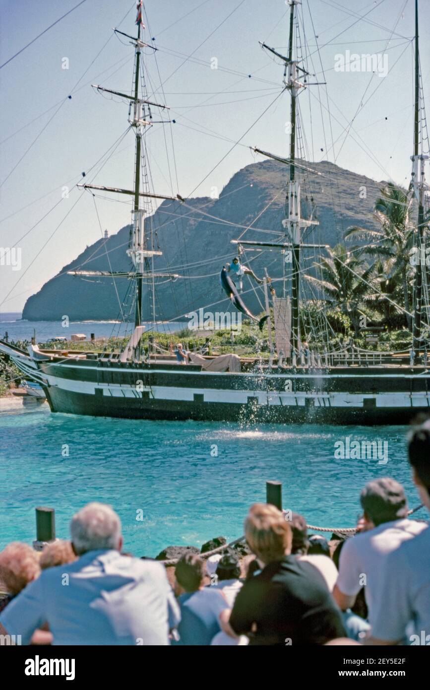 Le lagon des dauphins à Sea Life Park Hawaii, près de Makapu’u point, île d’Oahu, Hawaï, États-Unis 1986. L'attraction est un parc de mammifères marins, un sanctuaire d'oiseaux et un aquarium. Le public regarde un spectacle avec un gros dauphin qui bonde de l'eau pour se nourrir. Un ancien voilier en bois est en toile de fond pour le spectacle. Cette caractéristique n'est plus là. Le parc a ouvert ses portes en 1964 et comprend des expositions qui permettent aux visiteurs d'interagir avec les animaux. Cette image provient d'une ancienne transparence de couleur amateur américaine. Banque D'Images