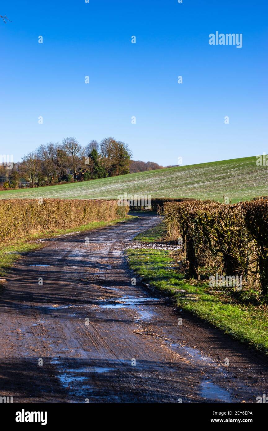 Ciel bleu sur une voie de campagne rurale dans le Hampshire, en Angleterre. Banque D'Images