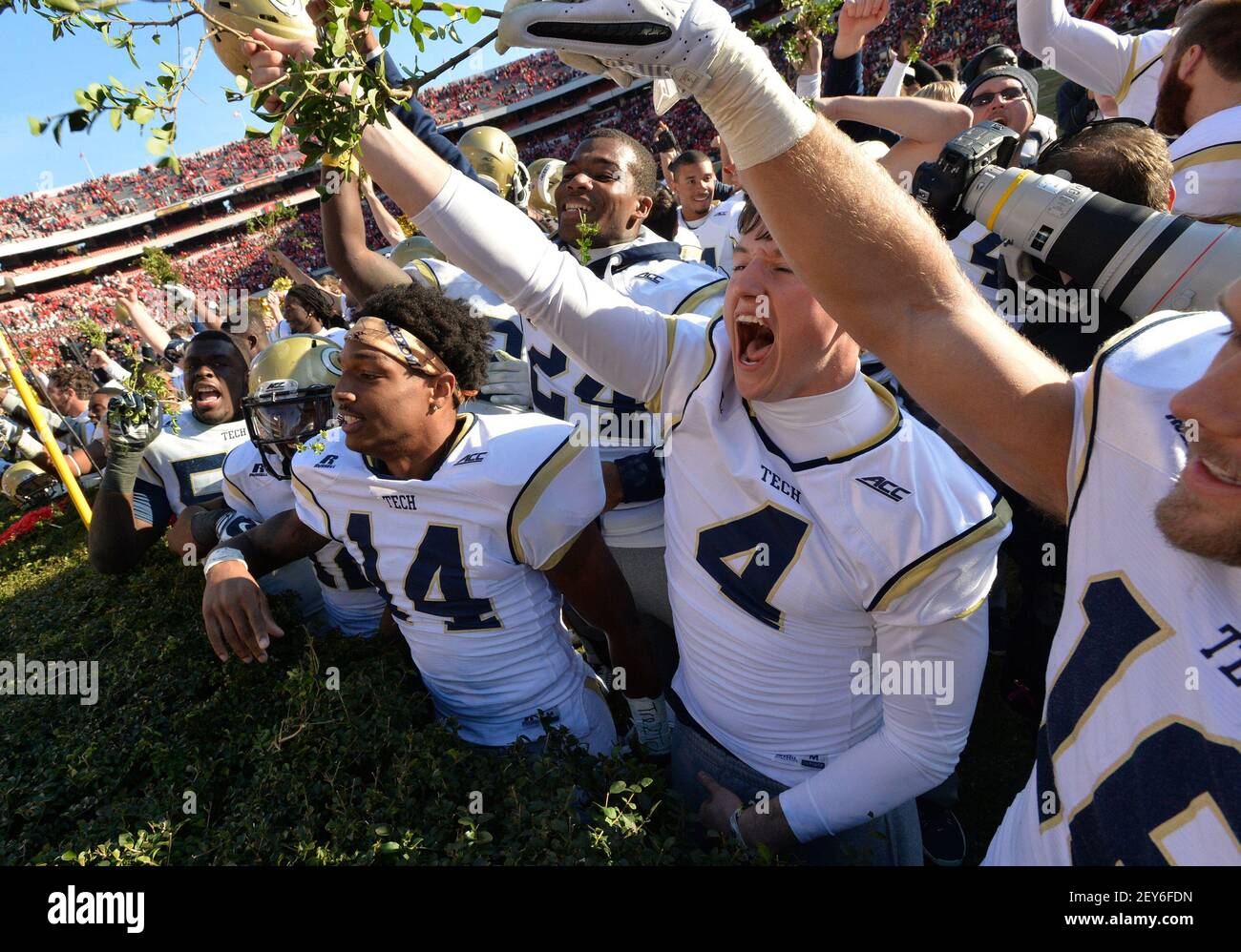 Les joueurs de Georgia Tech célèbrent une victoire des heures supplémentaires 30-24 contre la Géorgie avec des pièces des haies du Sanford Stadium au stade Sanford à Athènes, en Géorgie, le samedi 29 novembre 2014. (Photo par Hyosub Shin/Atlanta Journal-Constitution/TNS/Sipa USA) Banque D'Images
