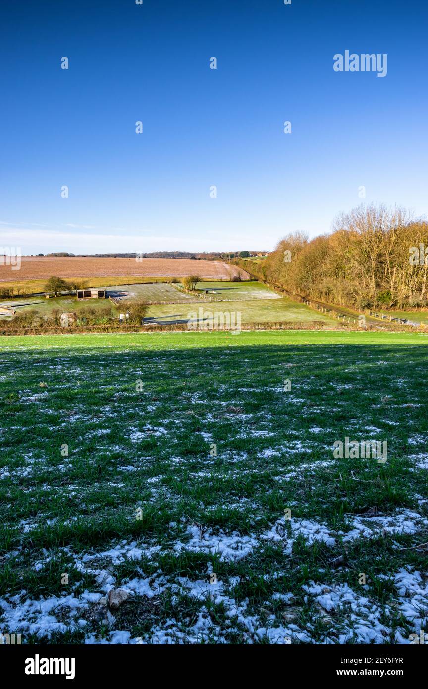 Sol gelé dans la campagne rurale du Hampshire sous un ciel bleu d'hiver. Angleterre. Banque D'Images
