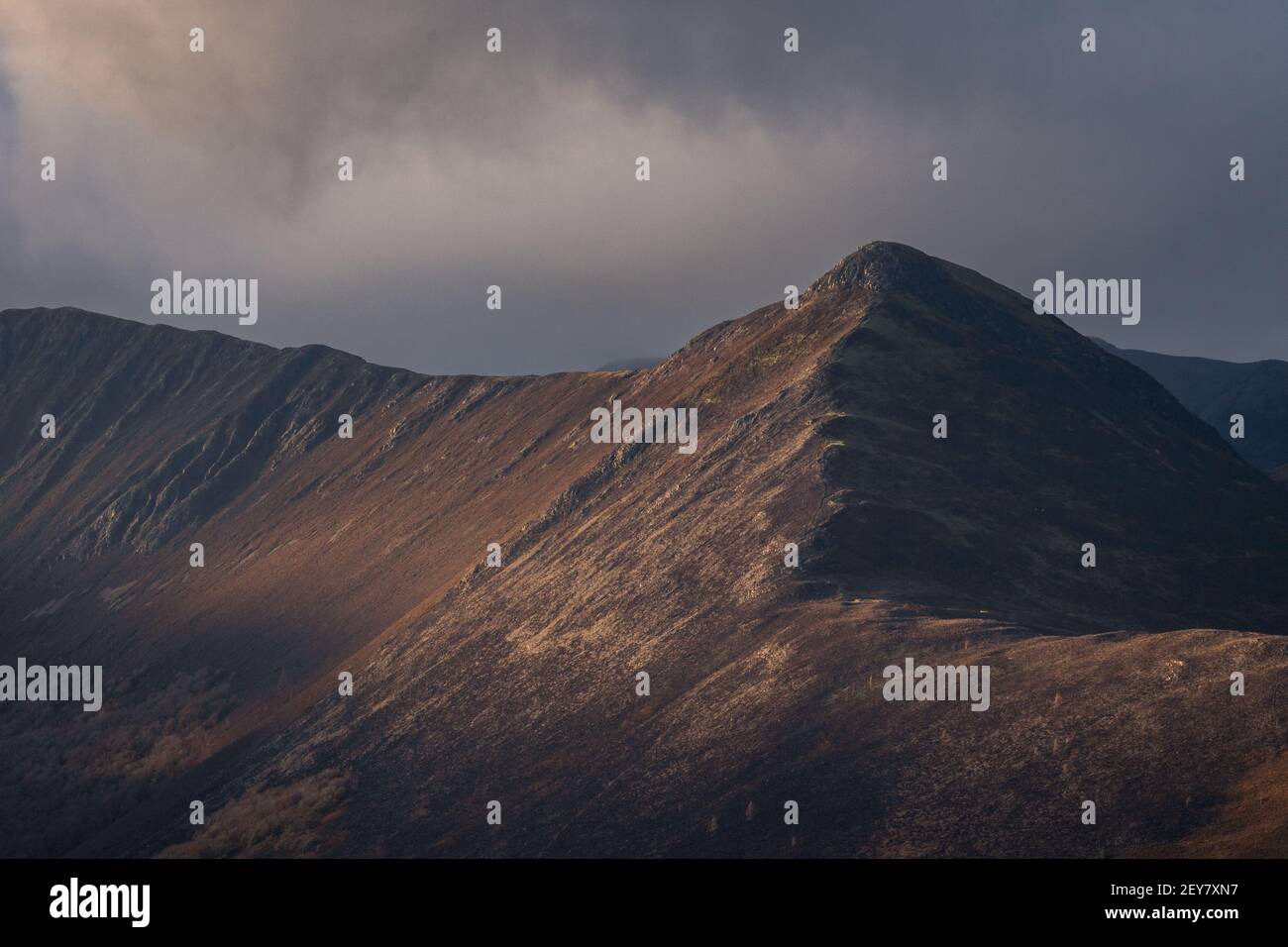 VIES du sommet des cloches de chat dans le lac quartier au coucher du soleil Banque D'Images