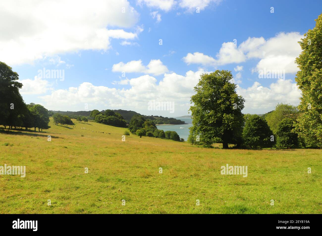 Vue sur la rivière FAL depuis les prés de Treliswick jardins Banque D'Images