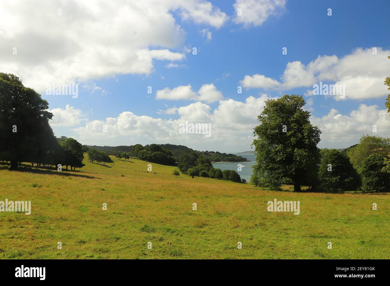 Vue sur la rivière FAL depuis les prés de Treliswick jardins Banque D'Images