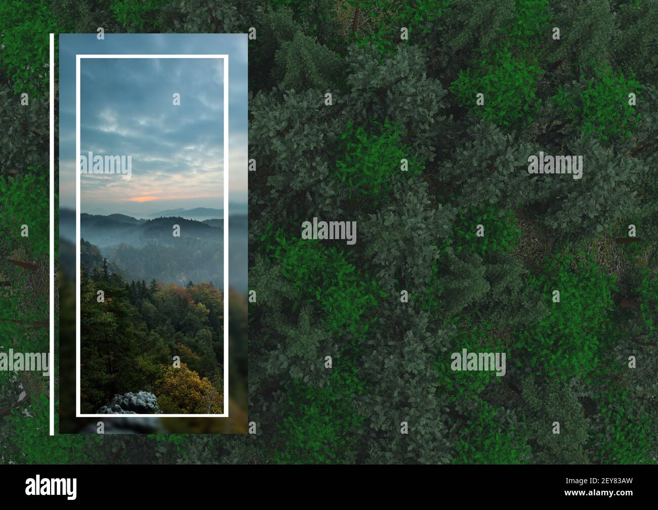 Illustration avec photo paysage de montagne sur forêt en arrière-plan Banque D'Images