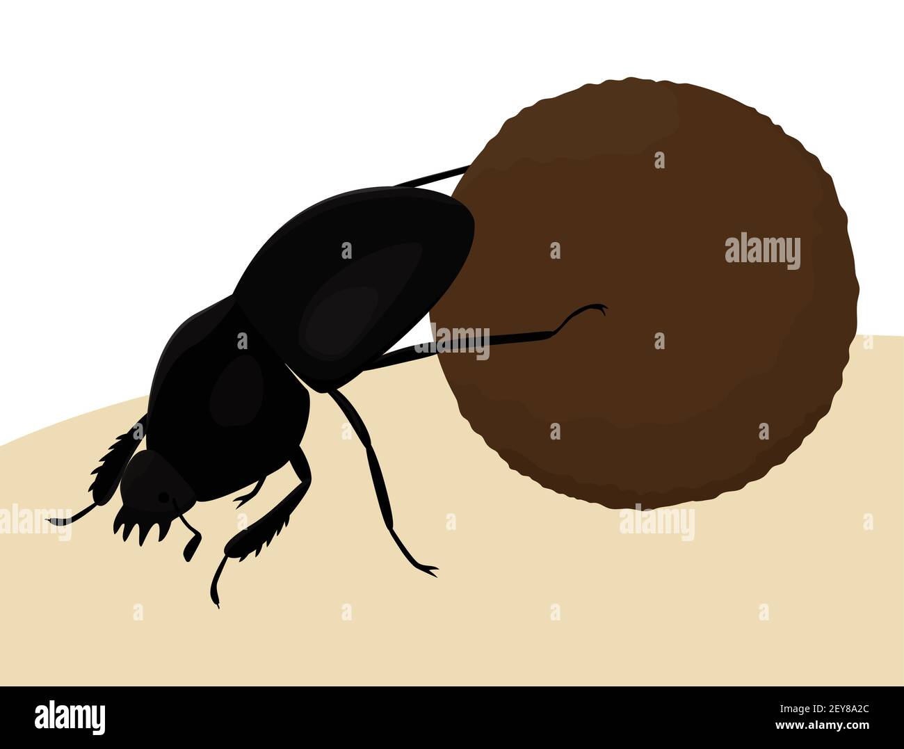 Scarab sacré coléoptère égyptien rouleaux sphère de dinde. Illustration plate colorée. Insecte vecteur isolé sur blanc. Illustration de Vecteur