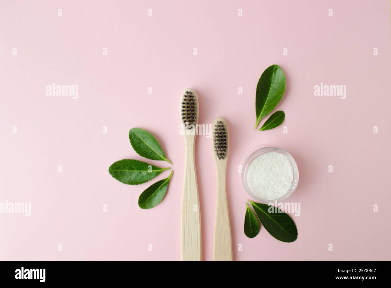 Brosses à dents écologiques en bambou, dentifrice et feuille verte sur fond rose. Banque D'Images