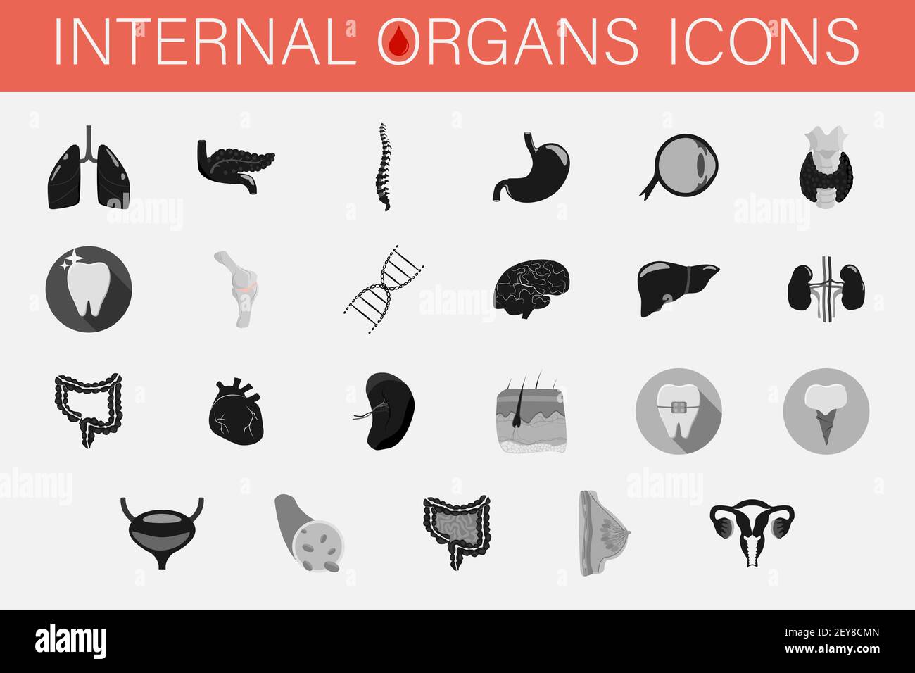 Ensemble d'icônes des organes internes et des parties de l'homme. Illustration de Vecteur