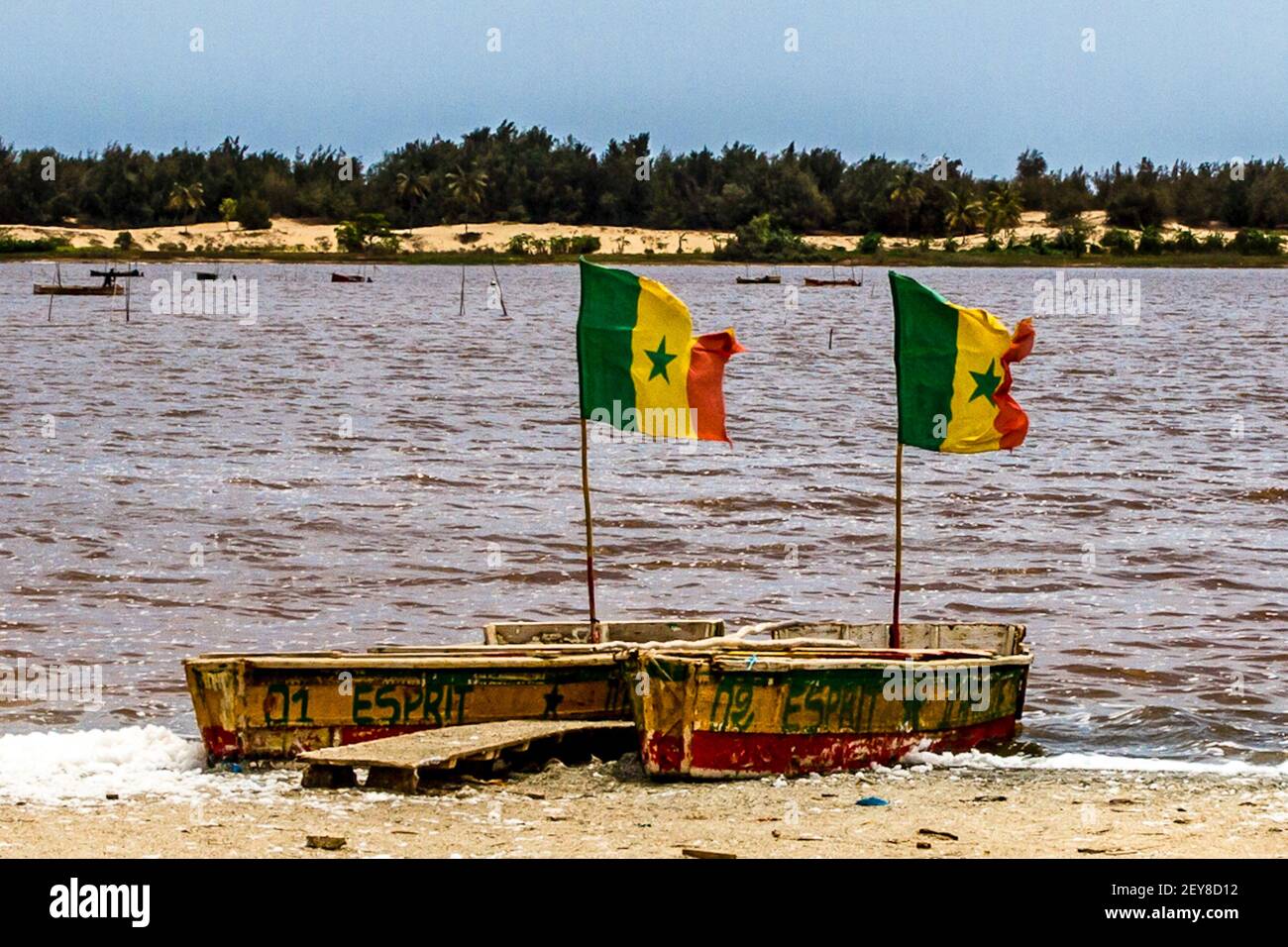 Sénégal, drapeaux sénégalais déchirés sur un canot à quai le long du lac Rose. Le drapeau de la République du Sénégal, adopté en 1960 au moment de l'indépendance, est Banque D'Images