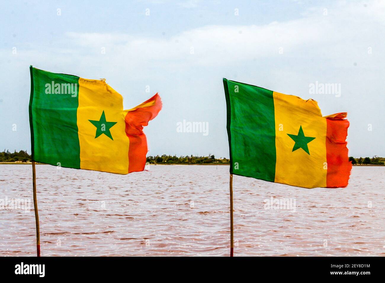 Sénégal, drapeaux sénégalais déchirés sur un canot à quai le long du lac Rose. Le drapeau de la République du Sénégal, adopté en 1960 au moment de l'indépendance, est Banque D'Images