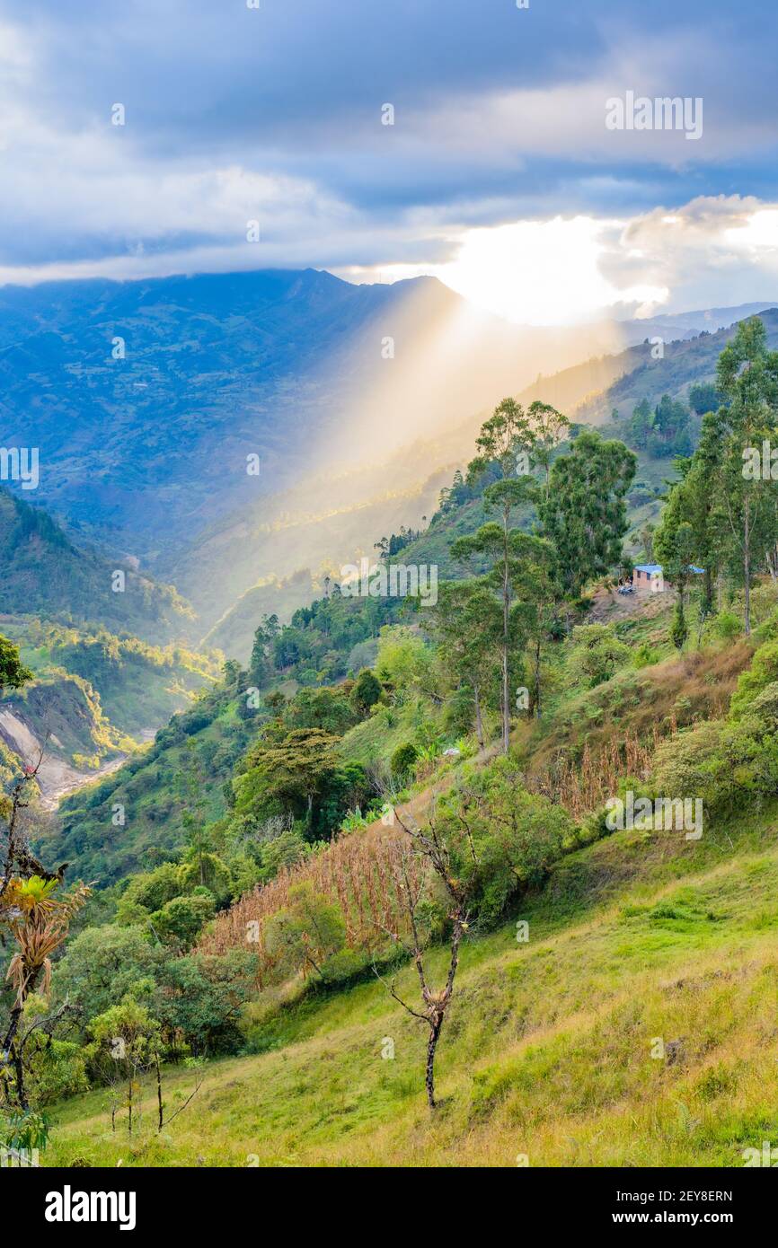 Magnifique rayon de soleil à Guayabal, ramiriquí, Boyacá, Colombie Banque D'Images