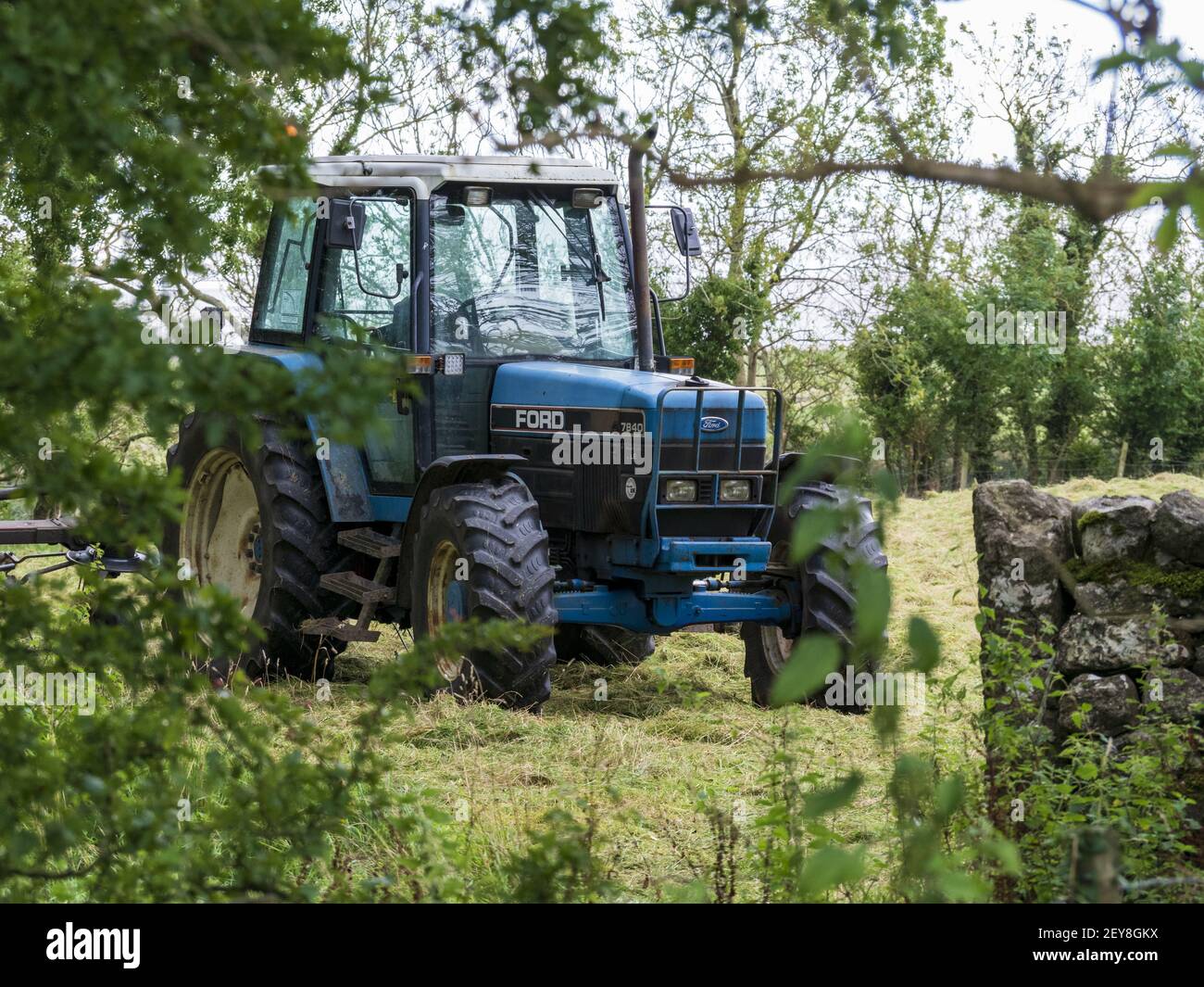 CARNFORTH, ROYAUME-UNI - 07 février 2021 : tracteur fauchant du foin dans un champ du Lancashire Banque D'Images
