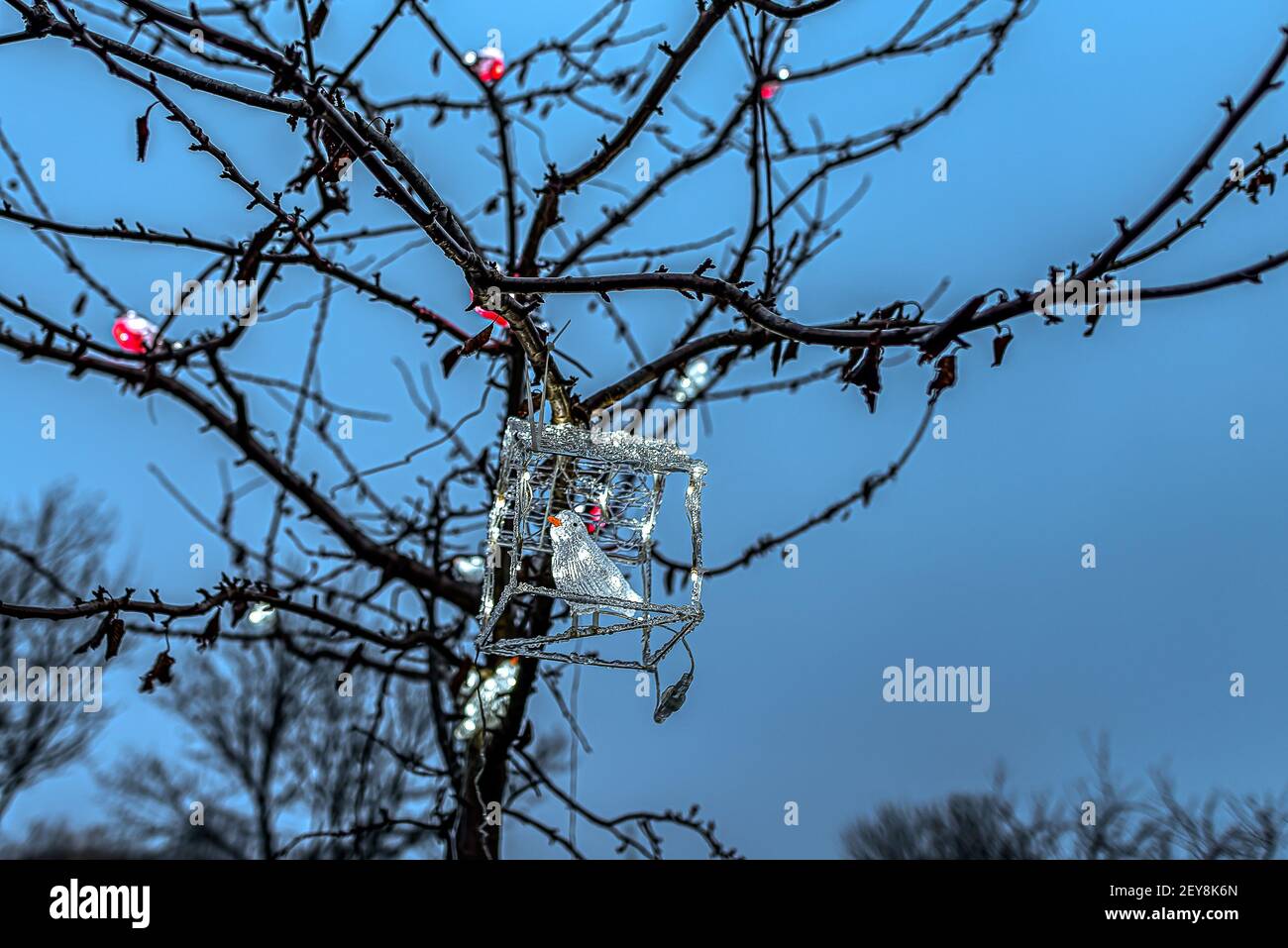 Une cage d'oiseaux en verre et des oiseaux en verre assis dans un arbre une soirée de Noël froide, Danemark, 24 décembre 2020 Banque D'Images