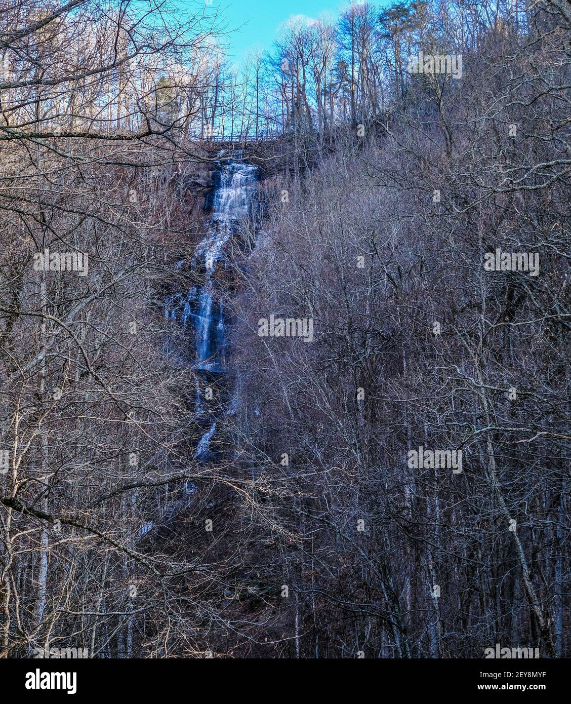 Amicalola Falls dans les arbres d'hiver Banque D'Images