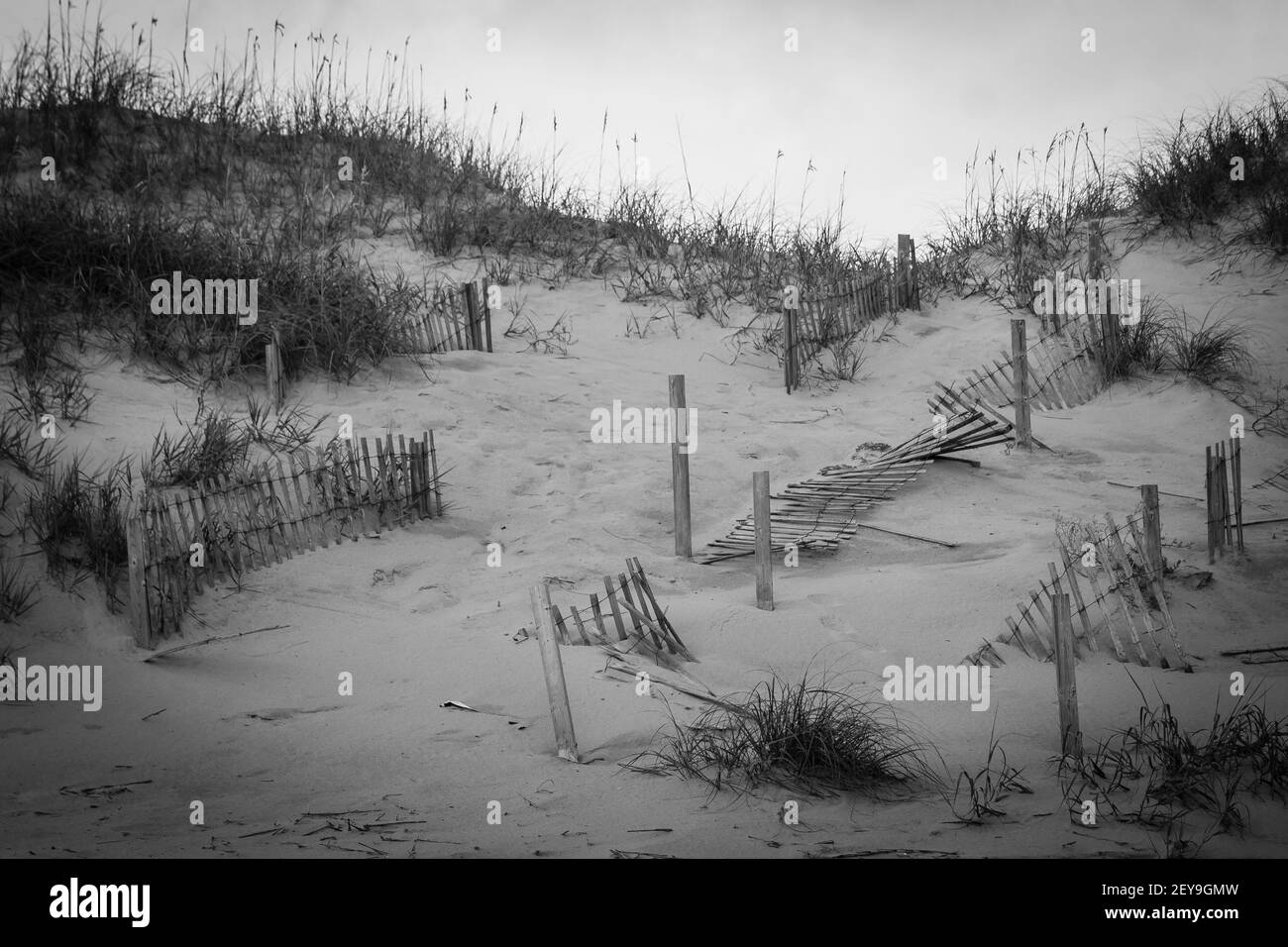 image en noir et blanc des dunes de sable avec clôtures de piquetage Banque D'Images