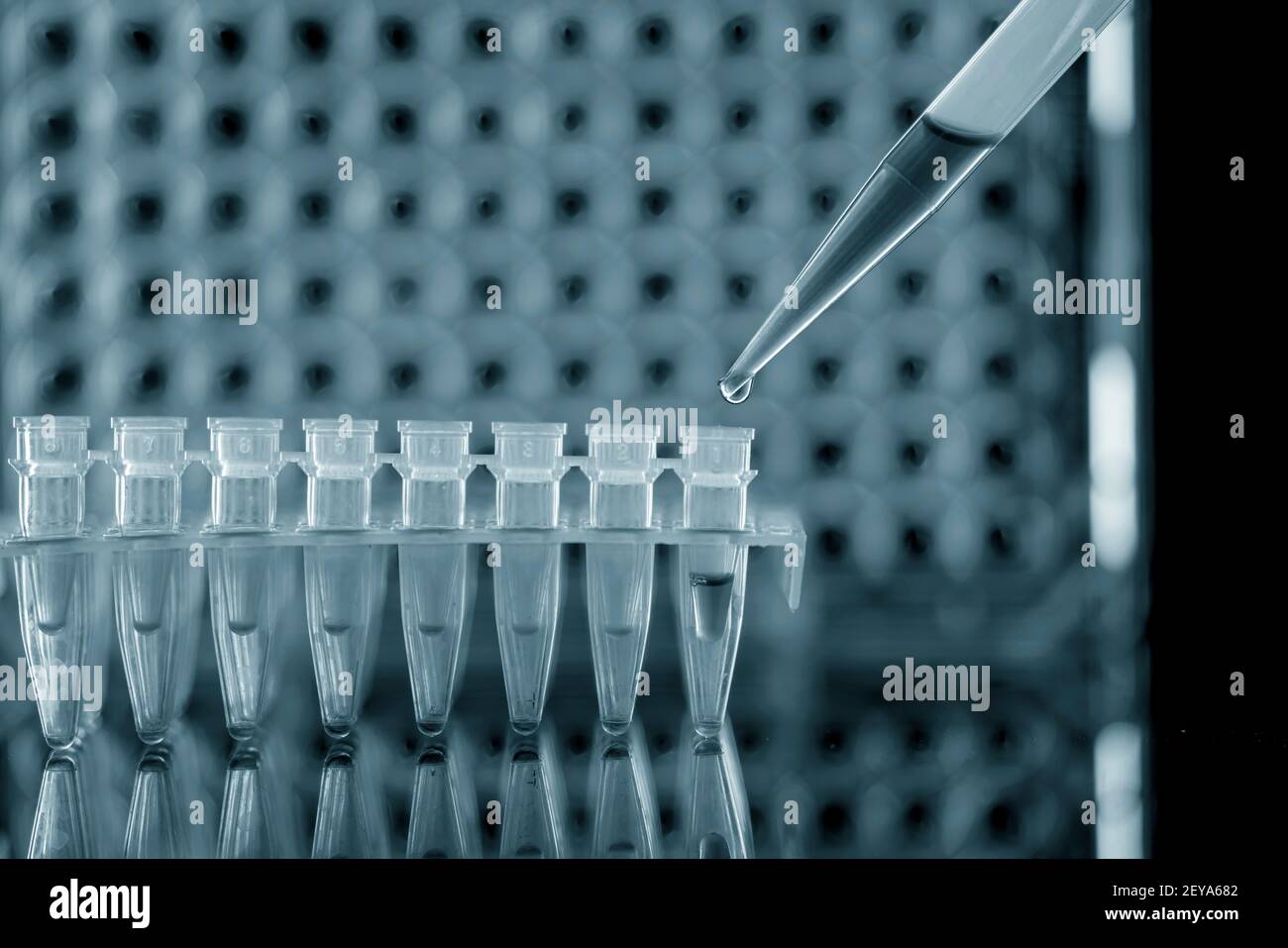 La recherche génétique, conceptual image Banque D'Images