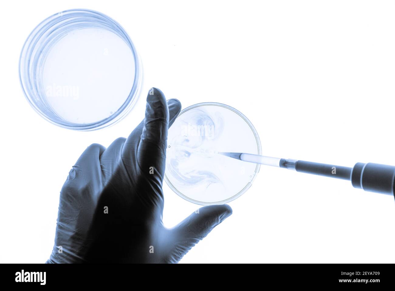 La recherche biologique, conceptual image Banque D'Images