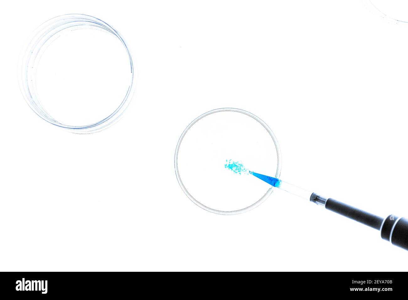 La recherche biologique, conceptual image Banque D'Images