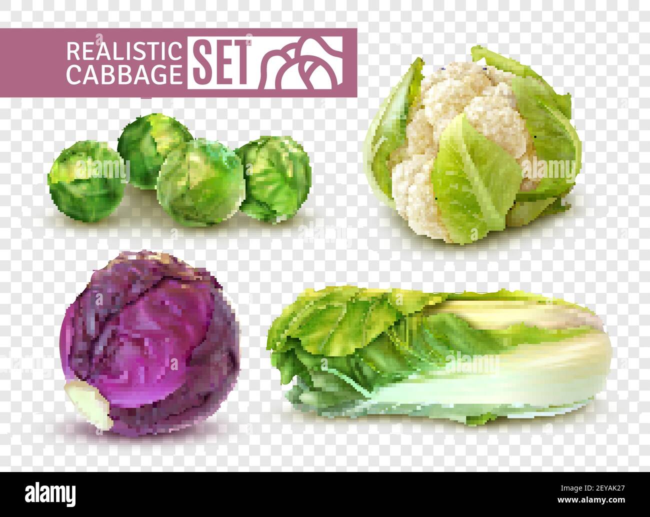 Cadre réaliste avec choux de bruxelles chou-fleur chinois isolé sur illustration vectorielle d'arrière-plan transparente Illustration de Vecteur