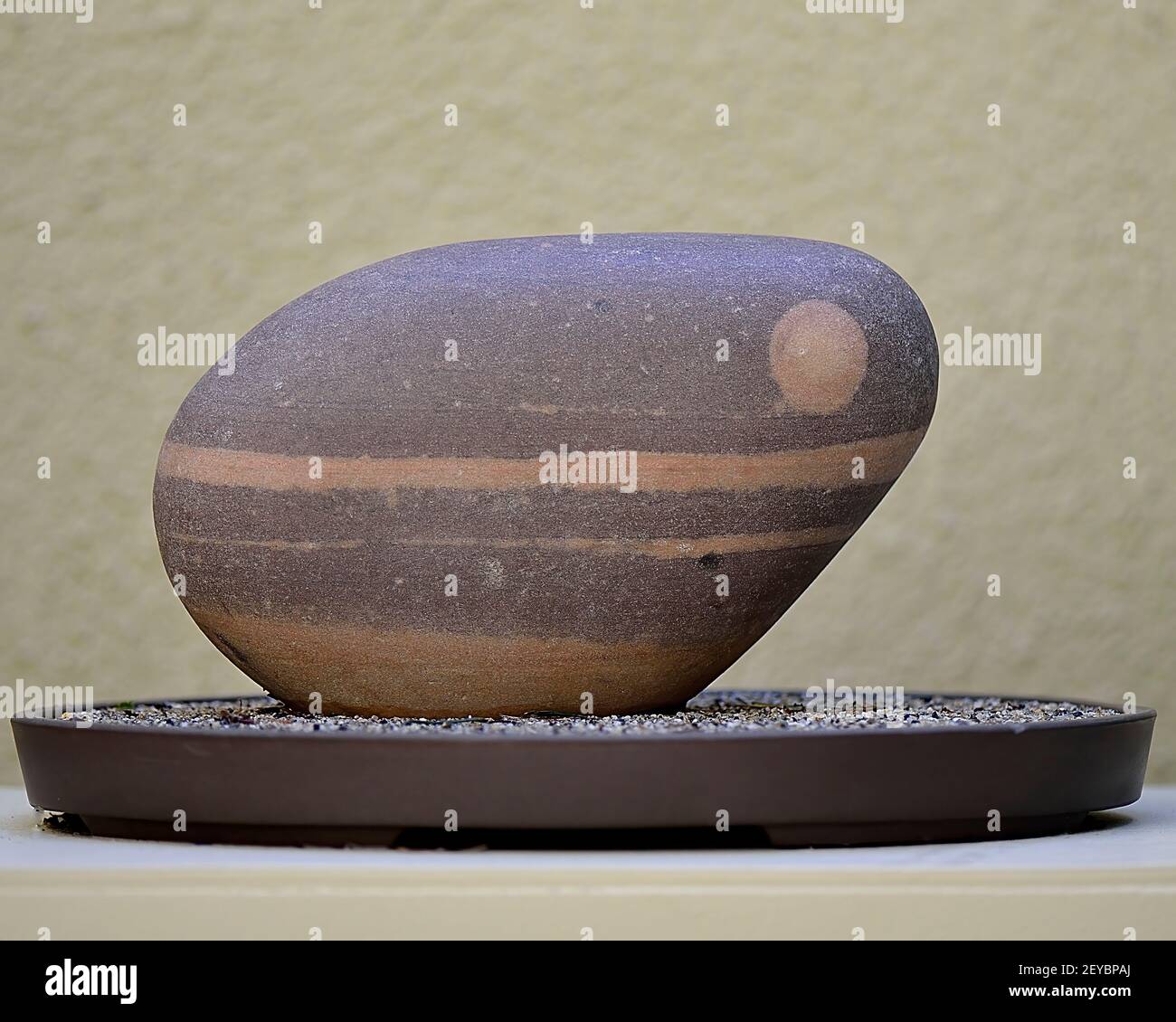 Un arrangement de roche à la Pacific Rim Bonsai Collection dans Federal Way, WA. Banque D'Images