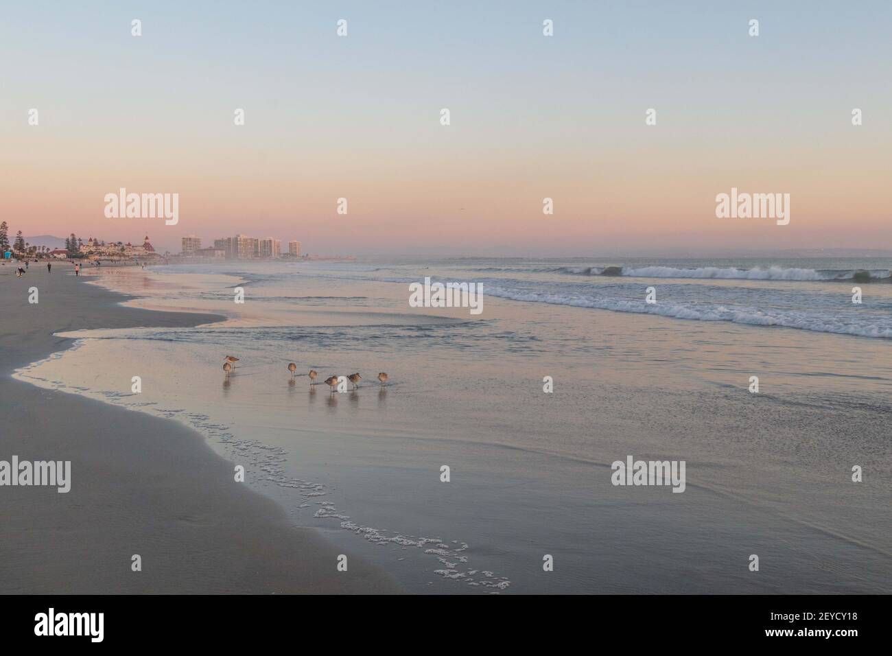 Coronado, Californie, États-Unis. 5 mars 2021: Le coucher de soleil à Dog Beach à Coronado, Californie, le vendredi 5 mars 2021. Crédit: Rishi Deka/ZUMA Wire/Alay Live News Banque D'Images