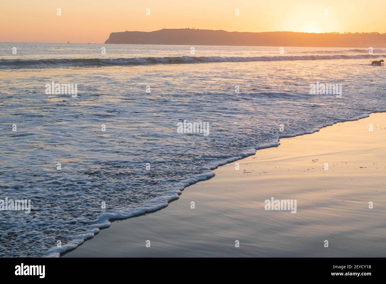 Coronado, Californie, États-Unis. 5 mars 2021: Le coucher de soleil à Dog Beach à Coronado, Californie, le vendredi 5 mars 2021. Crédit: Rishi Deka/ZUMA Wire/Alay Live News Banque D'Images