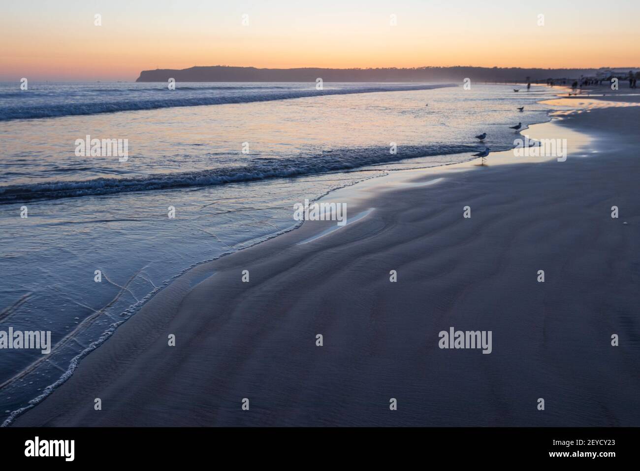 Coronado, Californie, États-Unis. 5 mars 2021: Le coucher de soleil à Dog Beach à Coronado, Californie, le vendredi 5 mars 2021. Crédit: Rishi Deka/ZUMA Wire/Alay Live News Banque D'Images