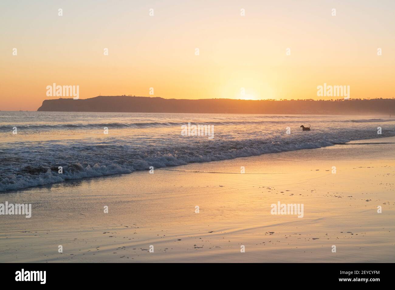 Coronado, Californie, États-Unis. 5 mars 2021: Le coucher de soleil à Dog Beach à Coronado, Californie, le vendredi 5 mars 2021. Crédit: Rishi Deka/ZUMA Wire/Alay Live News Banque D'Images