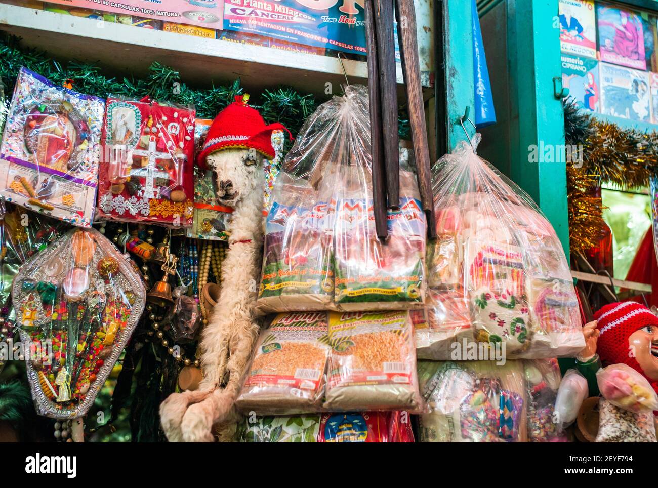 Arequipa Peru - juillet 7 2010: Bébé mort farci Llama fetus sur un marché de sorcières à Mercado San Camilo Arequipa Peru Banque D'Images