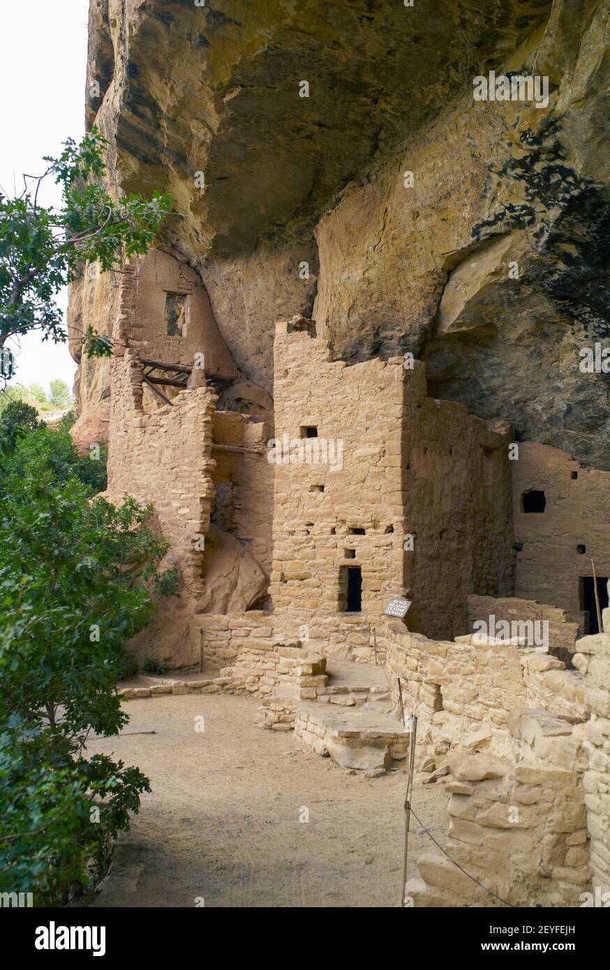 Cliff Palace dans le parc national de Mesa Verde, ruines d'un Pueblo Anasazi, site classé au patrimoine mondial de l'UNESCO, orientation verticale Banque D'Images
