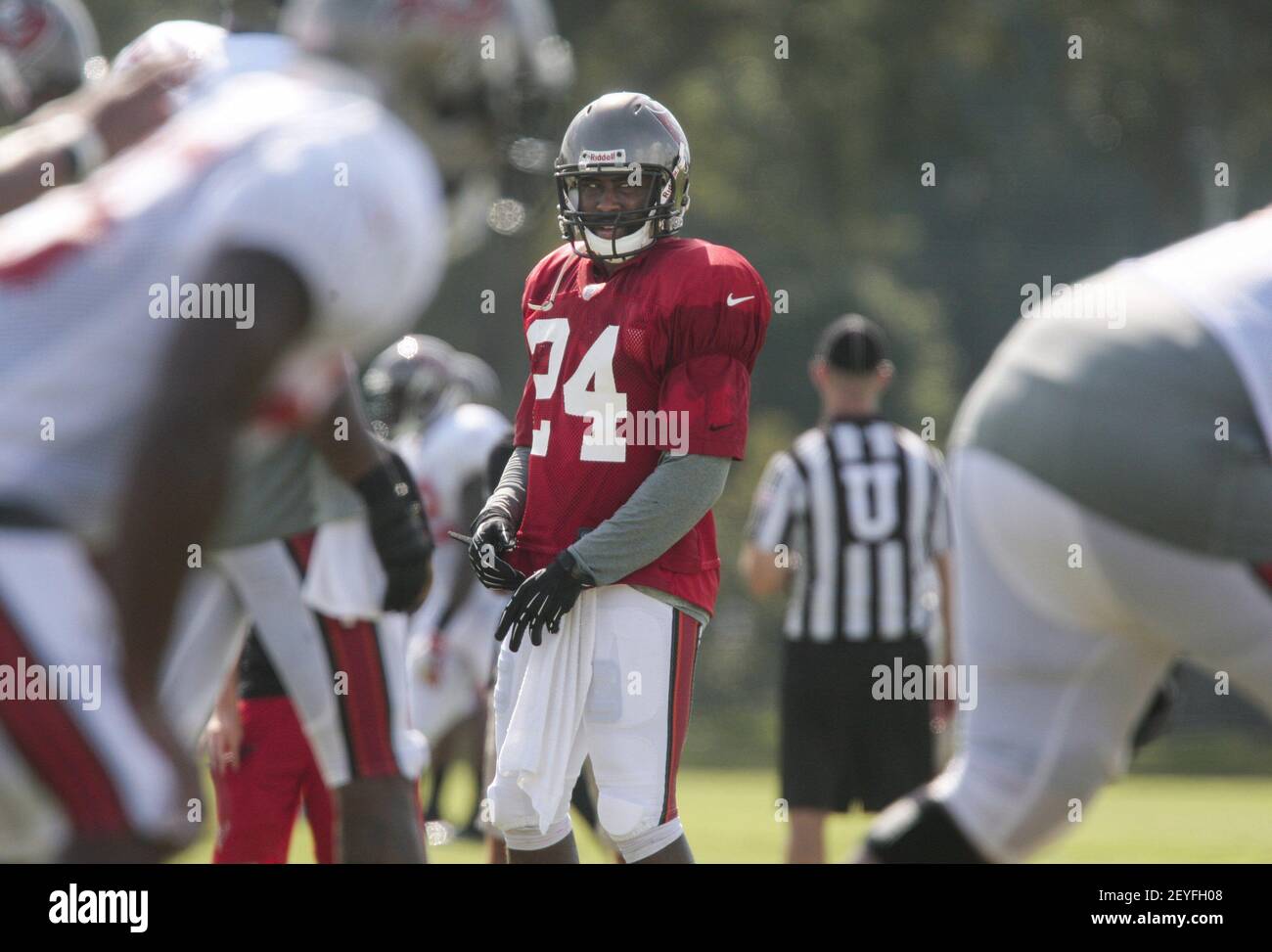 Le Corner back Darrelle Revis (24) effectue des exercices au cours du camp d'entraînement des Buccaneers de la baie de Tampa, le lundi 5 août 2013, à Tampa, en Floride. (Photo de will Vragovic/Tampa Bay Times/MCT/Sipa USA) Banque D'Images
