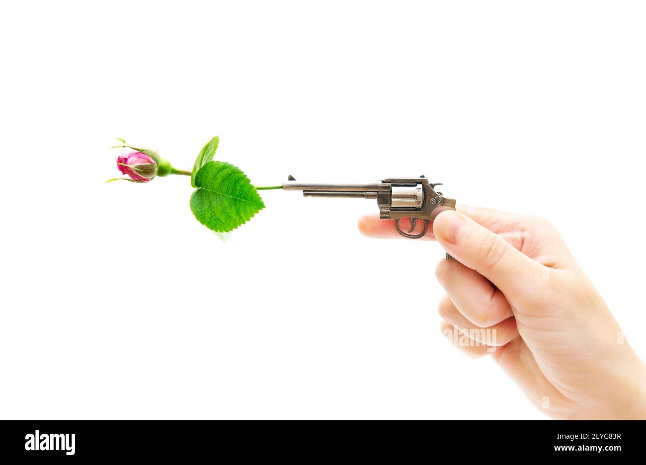 Main femelle tenant un revolver miniature avec une rose rouge placé dans le canon sur un fond blanc. Le concept de l'arrêt de la violence par les armes à feu. Banque D'Images