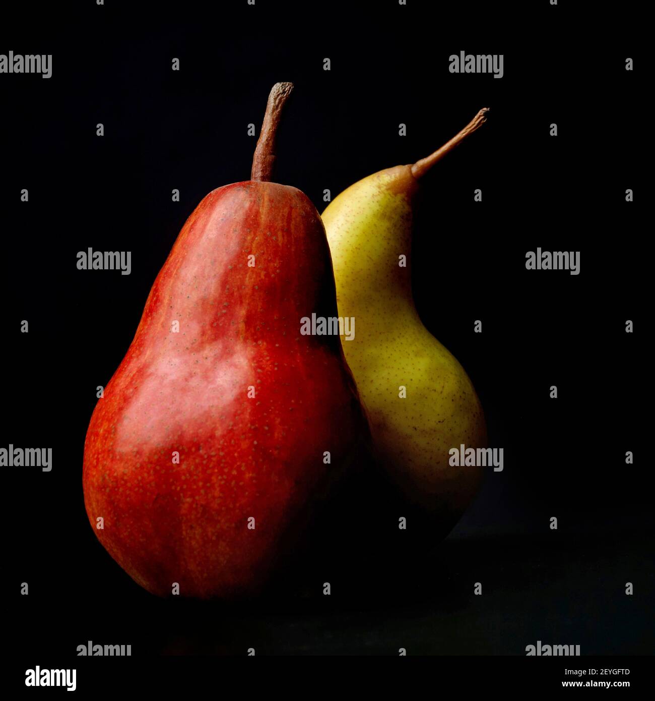 Poires rouges et jaunes positionnées ensemble sur un fond sombre mettant en valeur leurs couleurs et leurs formes dans un arrangement visuellement frappant Banque D'Images