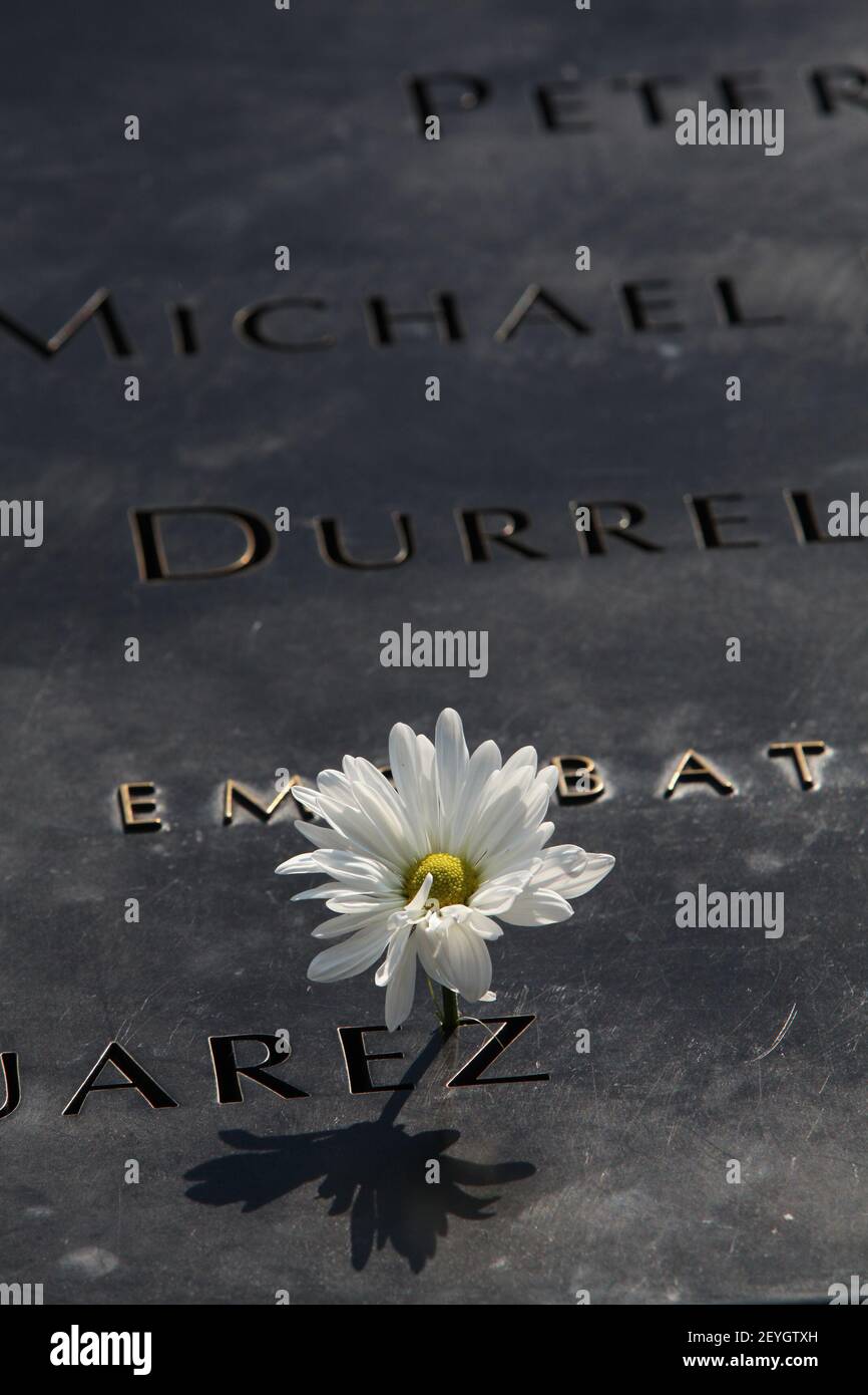 Fleurs placées sur des noms au mémorial de la tour sud au Mémorial du 9/11 septembre lors des cérémonies marquant le 12e anniversaire des attaques de 9/11 contre le World Trade Center à New York, le 11 septembre 2013 . (Photo par Chris Pedota/Pool/Sipa USA) Banque D'Images