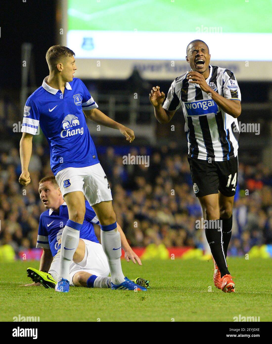 30 septembre 2013 - Liverpool, Royaume-Uni - Loic Remy de Newcastle United réagit après avoir presque nivelé le score la nuit - Barclays Premier League - Everton vs Newcastle Utd - Goodison Park Stadium - Liverpool - Angleterre - 30/09/13 - Picture Simon Bellis/Sportimage/Cal Sport Media/Sipa USA. Banque D'Images
